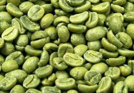 Зеленый кофе очень эффективен для людей, желающих распрощаться с ненужными килограммами.