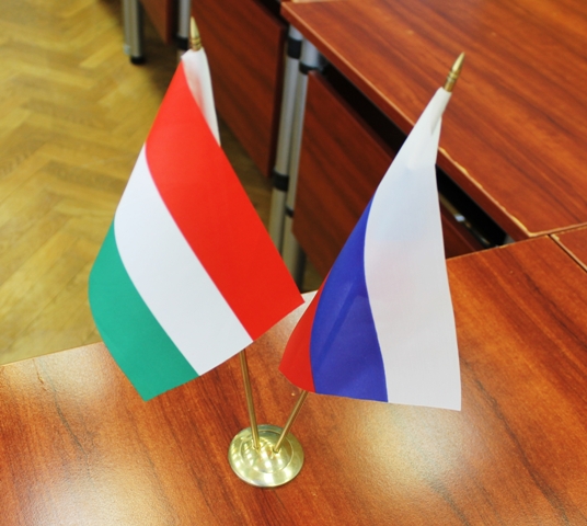 Гости из Венгрии отметили улучшения в Тольятти