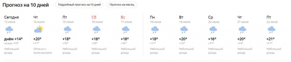 Из-за плохой погоды сургутская черемуха расцвела в июне