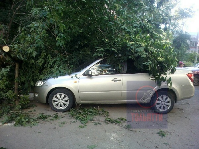 В Тольятти дерево упало на 4 автомобиля