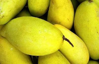 Обнаружено новое полезное свойство манго
