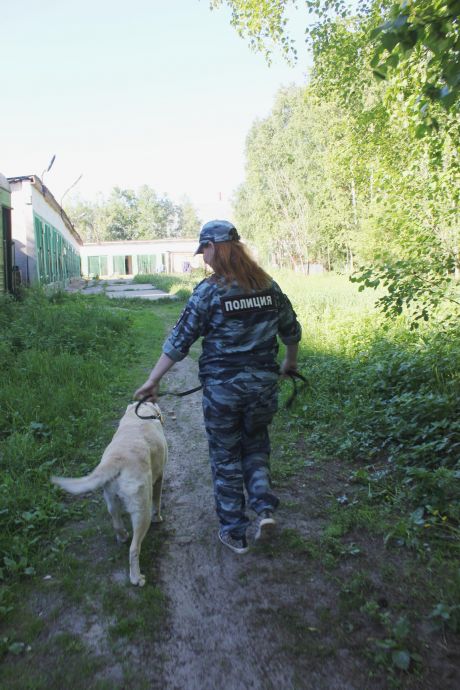 ​В Сургуте на пенсию проводили служебную собаку