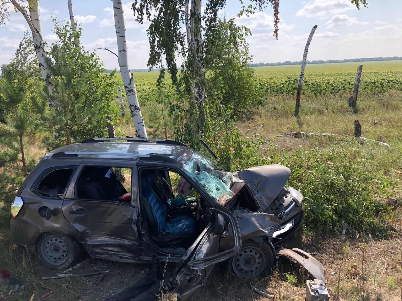 Под Тольятти погиб водитель «Калины», съехавшей в кювет