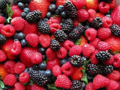 Названы самые полезные для здоровья ягоды