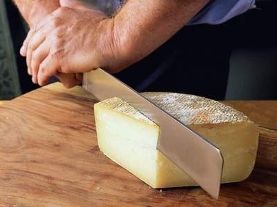 Ученые открыли пользу жирного сыра